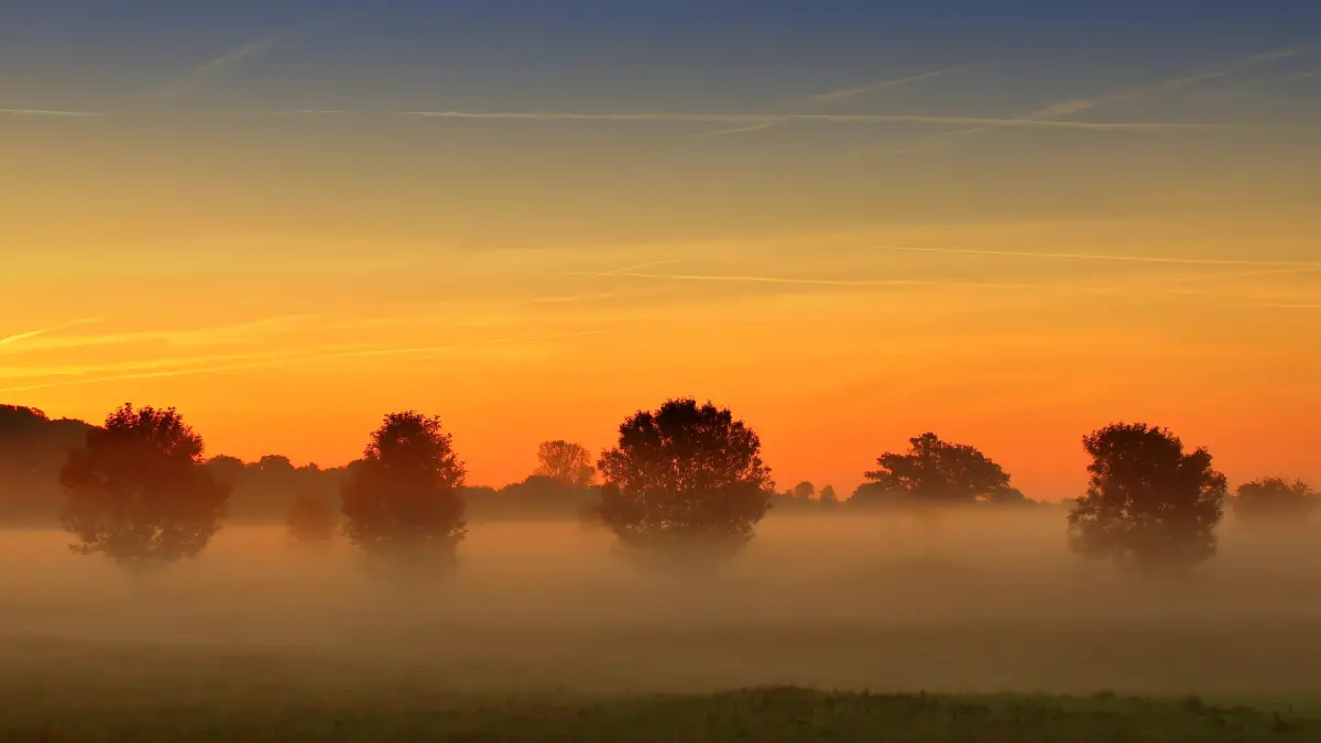 Sunrise over a misty field with silhouetted trees under a glowing orange sky
