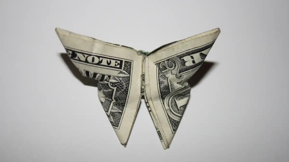 Origami butterfly folded from a U.S. dollar bill.
