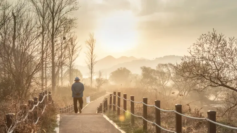 An elderly man walks alone on a foggy path surrounded by bare trees and distant mountains at sunrise.