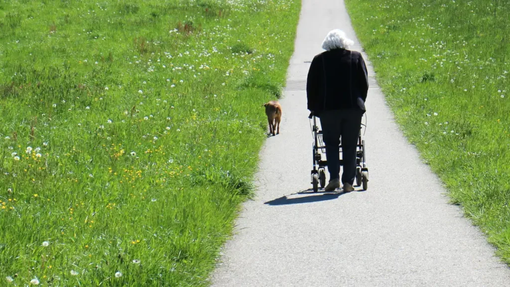 Elderly woman walking with a rollator on a rural path, accompanied by a small brown dog.