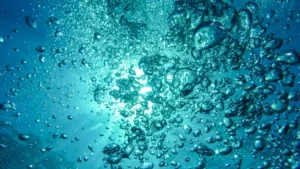 Air bubbles rising underwater toward sunlight, symbolizing carbon dioxide as the gas of life.
