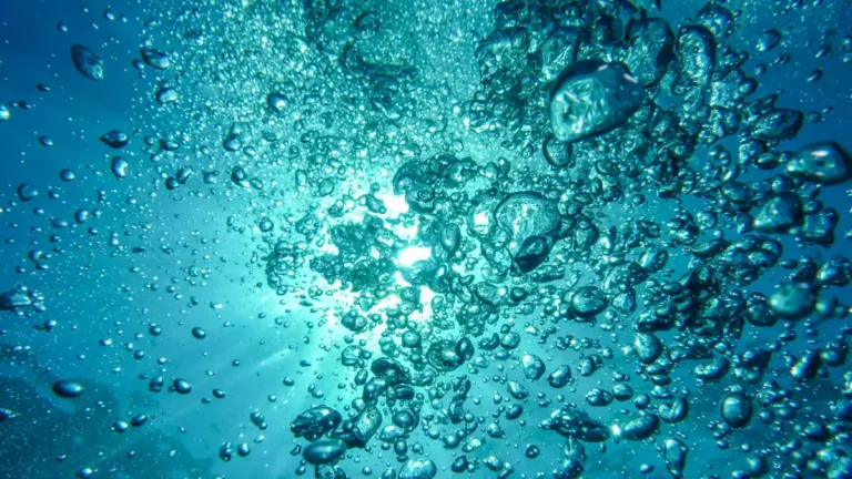 Air bubbles rising underwater toward sunlight, symbolizing carbon dioxide as the gas of life.