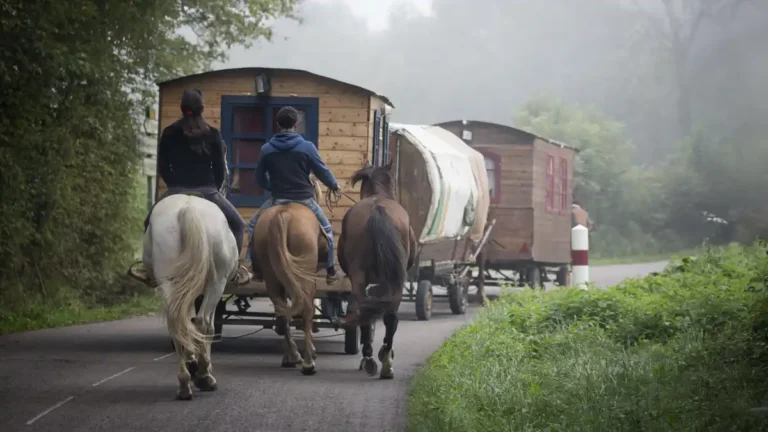 Two riders on horseback travel alongside horse-drawn wagons on a misty rural road.