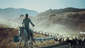 A lone herder on horseback guides a massive flock of sheep along a dusty mountain road, sunlight cutting through the haze.