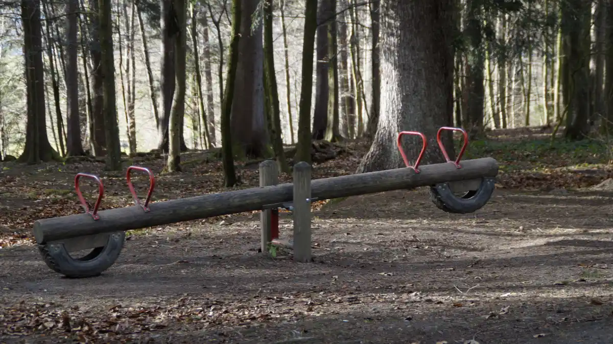 A wooden seesaw with red handles stands motionless in a forest clearing, surrounded by tall trees and filtered sunlight.