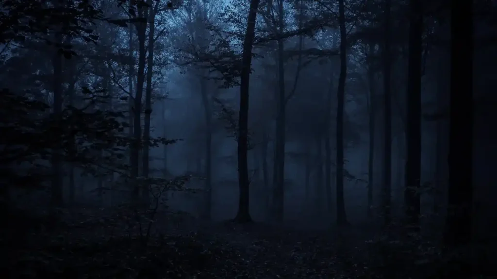 Dark, fog-covered forest at night, illuminated by faint blue light, evoking fear and isolation.