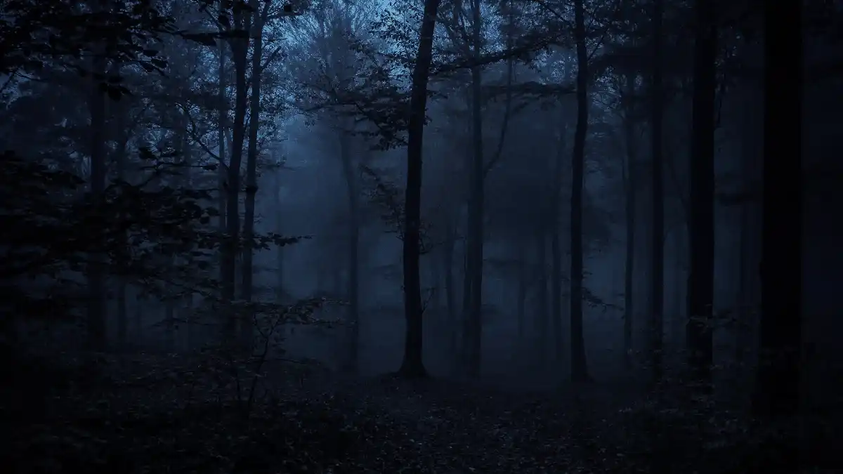 Dark, fog-covered forest at night, illuminated by faint blue light, evoking fear and isolation.