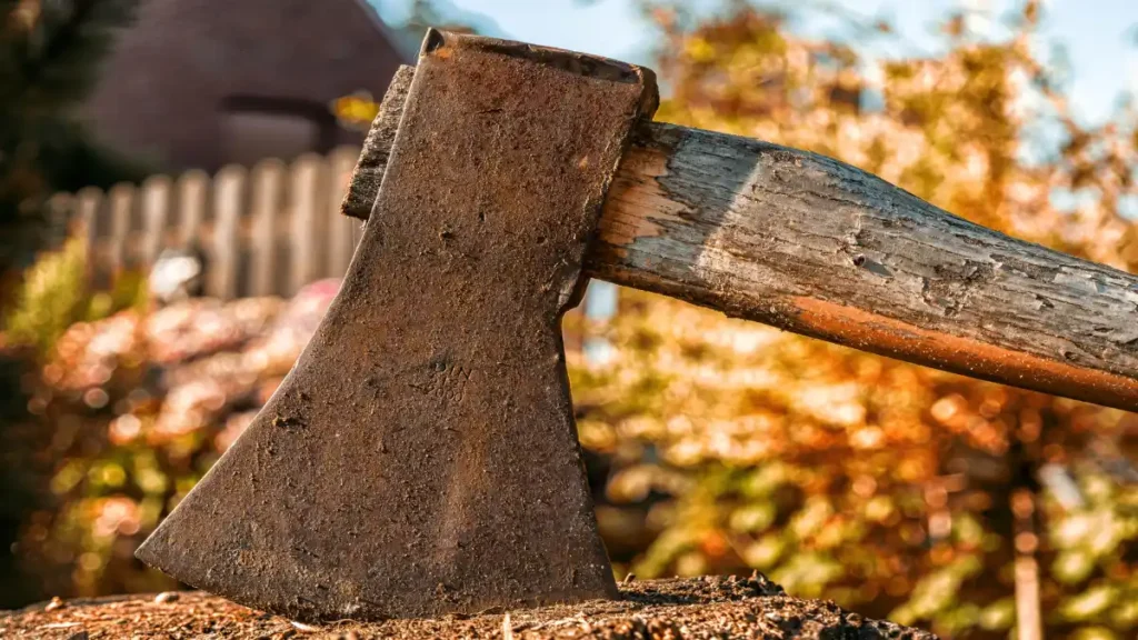 Rusty axe embedded in a cut tree stump with a weathered wooden handle, autumn foliage and a blurred rural background.
