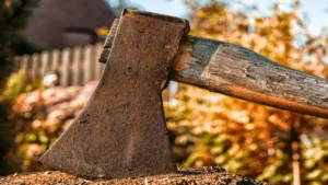 Rusty axe embedded in a cut tree stump with a weathered wooden handle, autumn foliage and a blurred rural background.