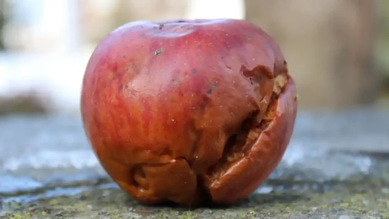 A bruised and partially decayed red apple sits on a stone surface, its skin split open and collapsing inward, revealing rot beneath an otherwise intact exterior.