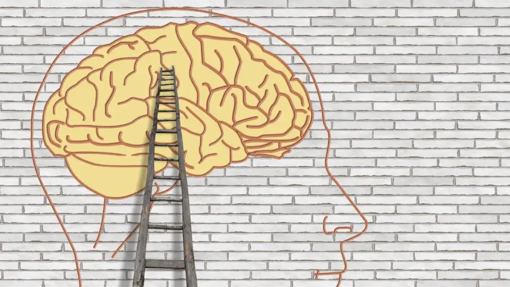 A stylised illustration of a human brain outlined on a white brick wall, with a wooden ladder leaning into the brain, symbolising ambition, cognition, institutional power and the psychological climb toward authority.