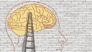 A stylised illustration of a human brain outlined on a white brick wall, with a wooden ladder leaning into the brain, symbolising ambition, cognition, institutional power and the psychological climb toward authority.